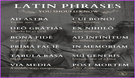 A Profile Of A Latin Beauty